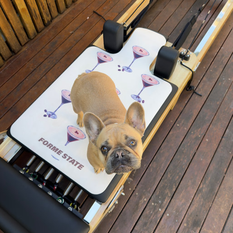 Dog standing on Forme State Pilates Reformer Mat in Espresso in home backyard