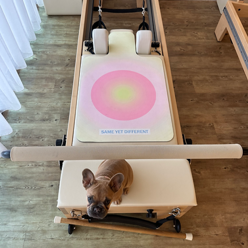 Forme State Pilates Reformer Mat in Golden at a Pilates studio