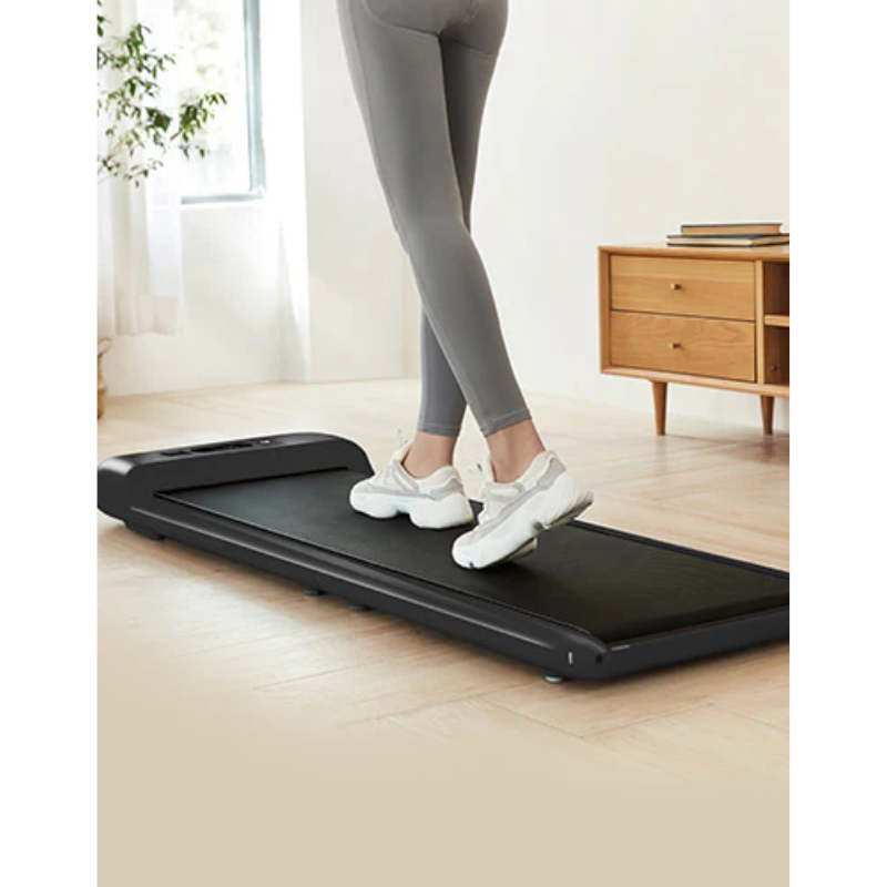 Lifespan Fitness WalkingPad M2 Treadmill