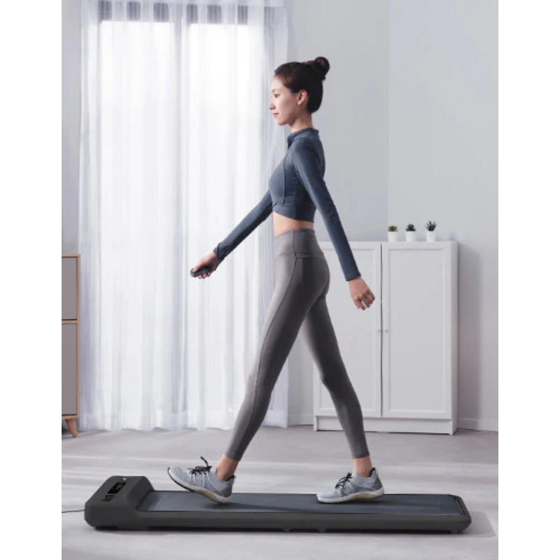 Lifespan Fitness WalkingPad M2 Treadmill